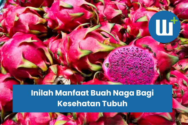 Inilah Manfaat Buah Naga Bagi Kesehatan Tubuh